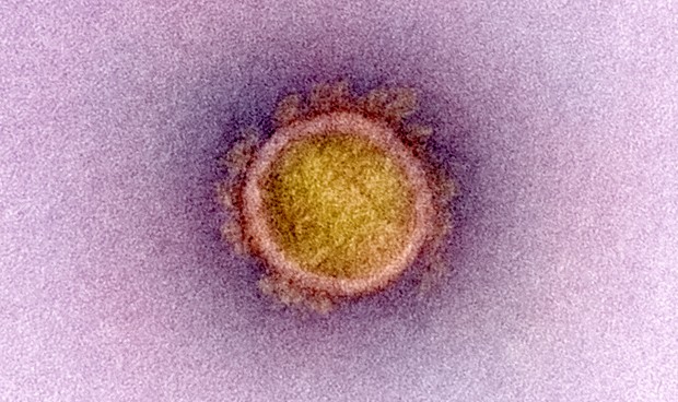 Covid-19 noticias última hora: nuevos datos y evolución de los rebrotes hoy