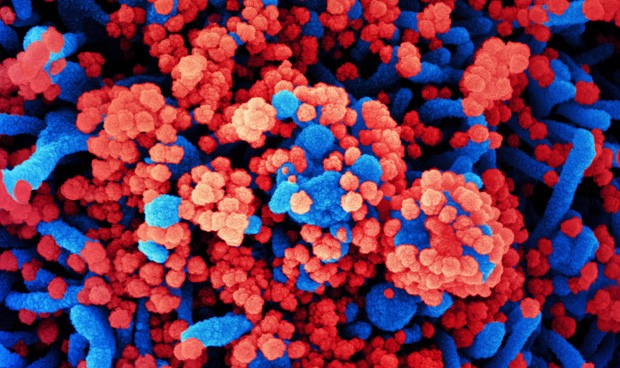 Covid-19 rebrotes hoy en España: nuevos datos y evolución de la pandemia