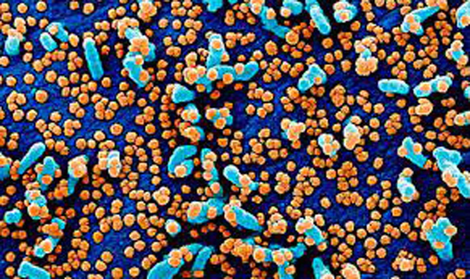 Covid-19 última hora: bajan la incidencia acumulada y la presión en UCI 