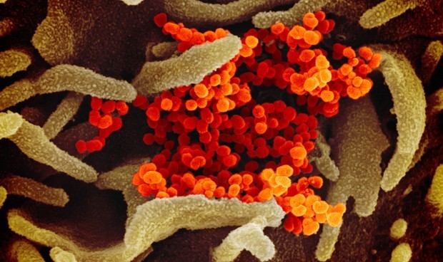 Covid-19 última hora en directo: validez de AstraZeneca y contagios