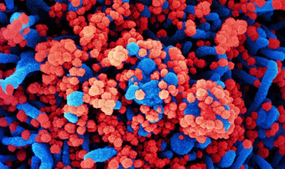 Covid-19 última hora: homenaje a las víctimas y aumento de la IA en jóvenes