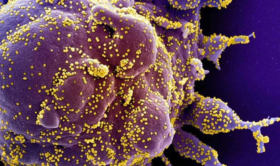 Covid-19 última hora: medidas tras estado de alarma y certificado 'verde'