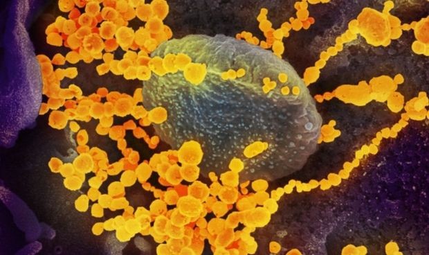 Covid-19 última hora: se cumple un año del virus en España