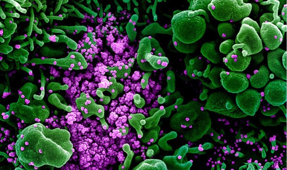 Covid-19 últimas noticias: decisión de la EMA sobre la tercera dosis