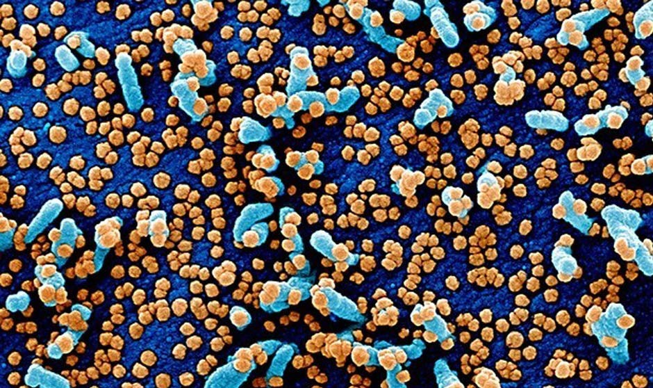 Covid-19 últimas noticias: vacunación y reapertura del ocio nocturno