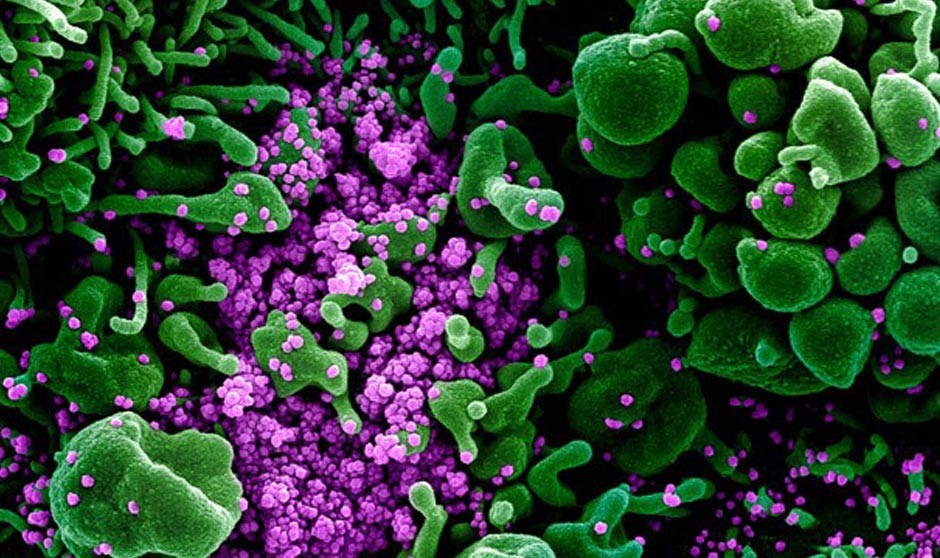 Covid-19 última hora en directo: aumento de casos, vacunas y restricciones