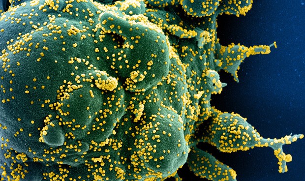 Covid-19 España última hora: nuevos datos de coronavirus en directo