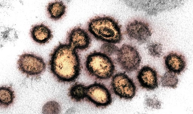 Covid en España hoy: nuevos datos en directo y última hora sobre rebrotes