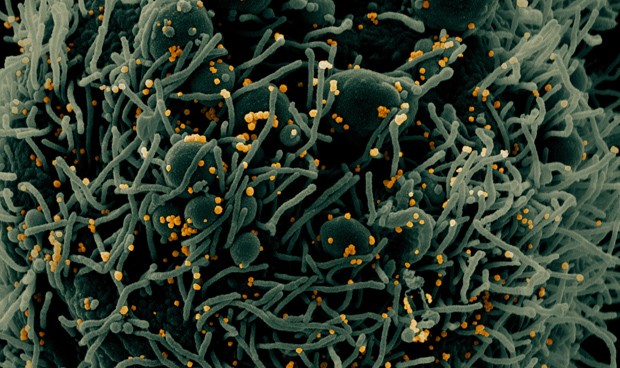 Covid-19 España hoy, última hora en directo: repunte de casos y 0 muertes