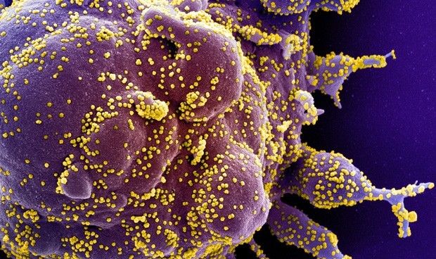 Coronavirus, última hora en España: confinamiento y restricciones