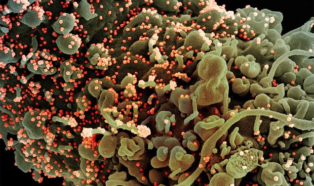 Directo Covid-19 España, noticias última hora hoy: cambio de fases