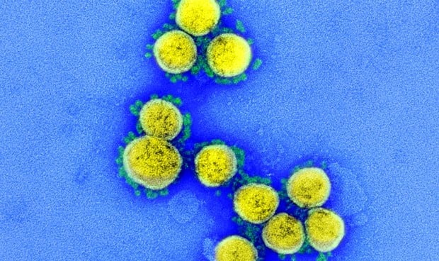 Coronavirus última hora: nuevos datos, menor cifra histórica de contagios