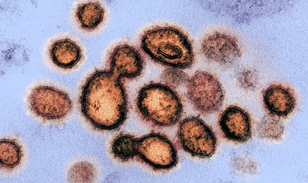 Coronavirus últimas noticias de hoy miércoles: principales novedades