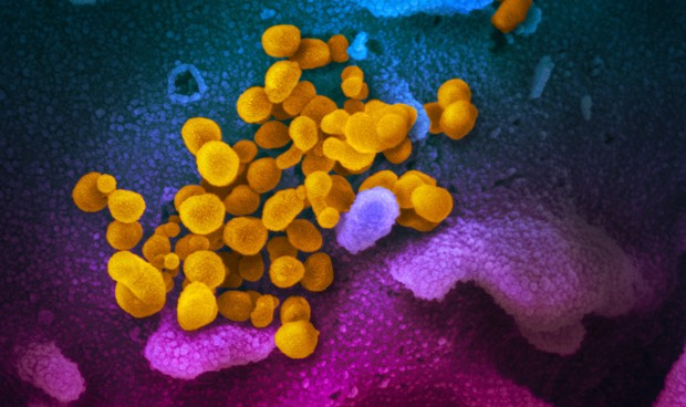 La crisis del Covid-19 en España en directo: datos de última hora hoy