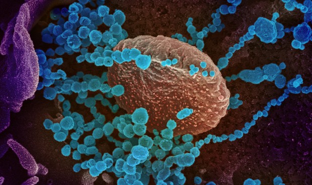 España Covid-19 hoy última hora: test, síntomas y datos del coronavirus