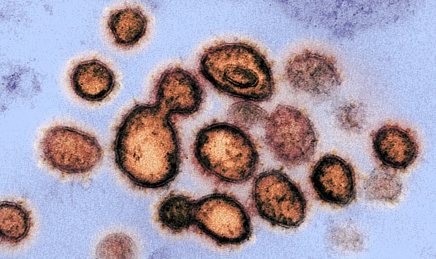 Coronavirus noticias en España: última hora en directo, datos de contagios