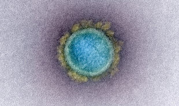 Coronavirus España: últimas noticias de este lunes