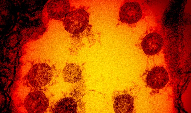 Covid-19 España, noticias de última hora hoy en directo: nuevos datos