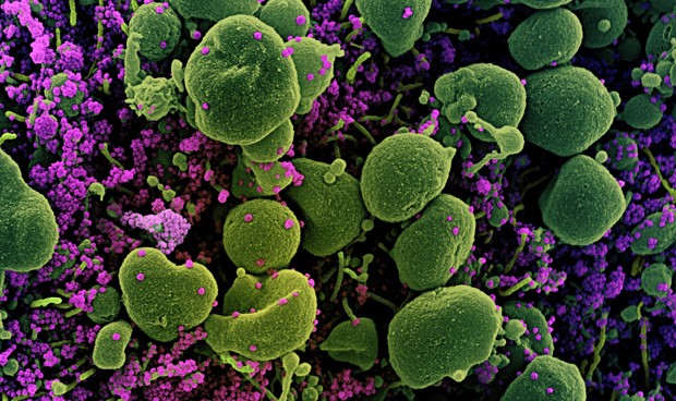 Directo: crisis del coronavirus en España, lo más importante del día