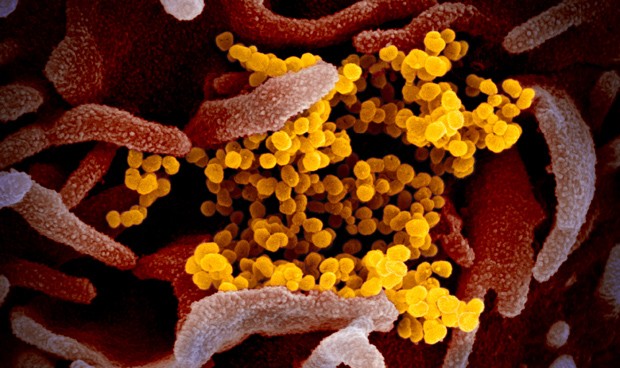 Coronavirus España, nuevos datos en directo: prorroga del estado de alarma