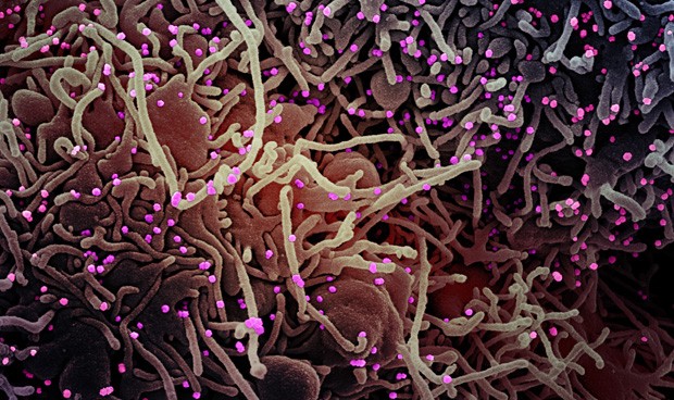 Coronavirus última hora en España hoy: novedades más importantes del día