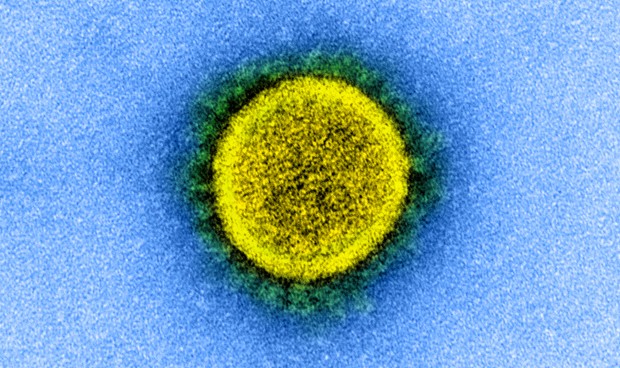 Coronavirus, todas las noticias de España: última hora del jueves