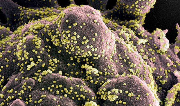 Coronavirus últimas noticias: menos de 400 muertes y sentencia del Supremo