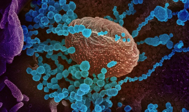 Coronavirus: Aprobado el primer estado de alarma con menor confinamiento