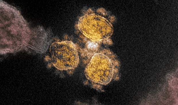 Covid-19 última hora en España: nuevos datos de coronavirus hoy