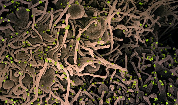 Última hora coronavirus España hoy: cepa Covid Londres y sube la incidencia