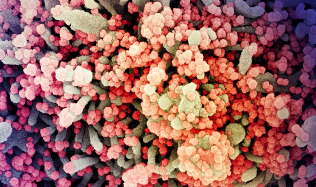 Última hora coronavirus España hoy jueves: nuevos datos Covid