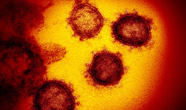 Última hora coronavirus España hoy lunes: nueva cepa de Covid-19