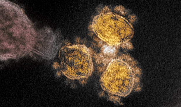 Última hora coronavirus España: restricciones comunes en Navidad