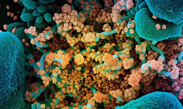 Última hora Covid-19 hoy: las vacunas viajan a España y los contagios suben