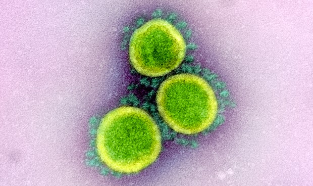 Última hora coronavirus hoy en España: noticias y nuevos datos en directo