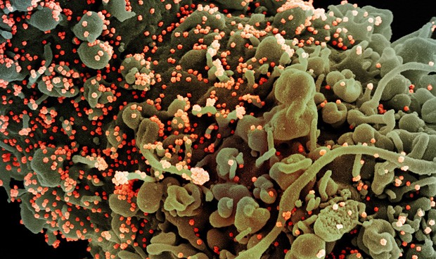 Coronavirus últimas noticias en directo: balance del día en España