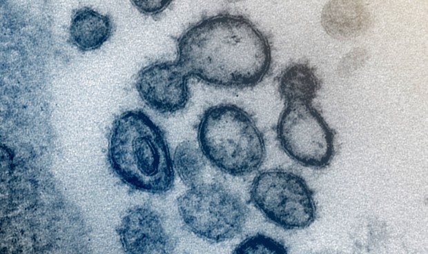 Covid-19 última hora España: nuevos datos en directo hoy martes