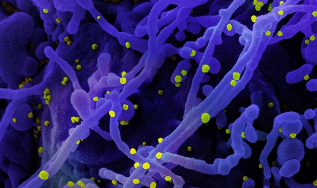 Últimas noticias coronavirus España hoy martes: datos Covid y vacunas