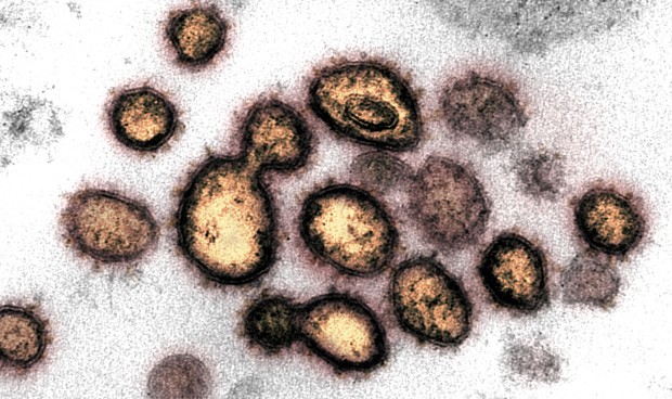 Últimas noticias coronavirus hoy en España: datos y avances con la vacuna