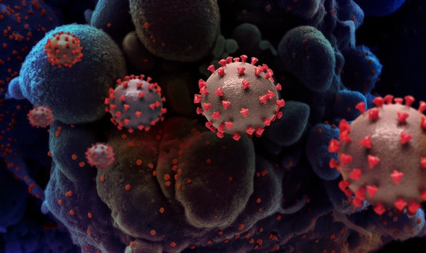 Últimas noticias de coronavirus en directo: datos hoy y nuevos estudios