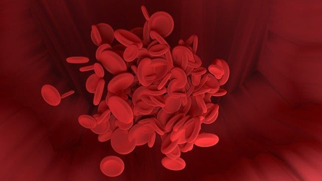 ¿Cómo se diagnostica la anemia perniciosa?