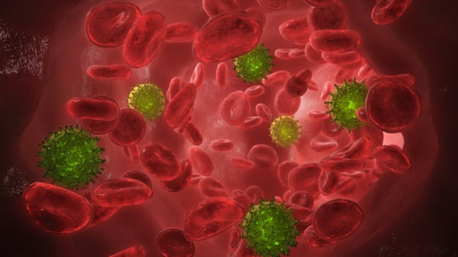 ¿Cómo se diagnostica la anemia hemolítica?