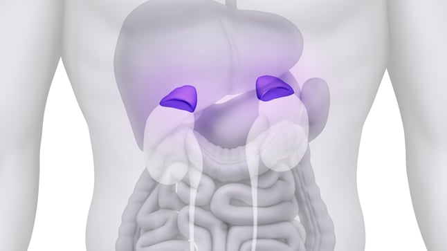 Causas, síntomas y tratamiento del carcinoma suprarrenal