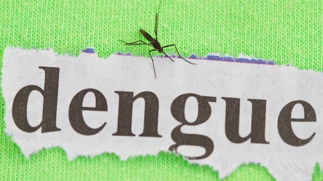 ¿Puede prevenirse el dengue