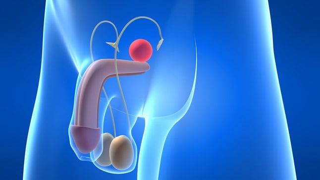 ¿Cómo se diagnostica el escroto agudo en adultos?