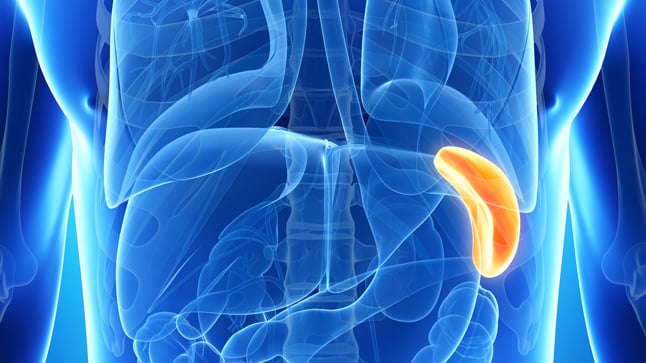 ¿Qué problemas puede producir una esplenomegalia?