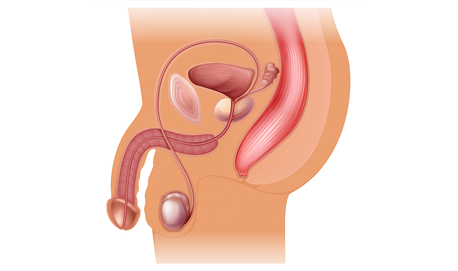 Problemas a la hora de eyacular durante el sexo