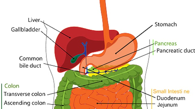 Causas, síntomas y tratamiento del glucagonoma