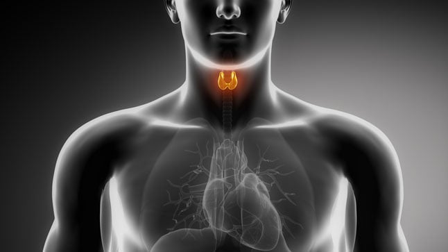 ¿Cómo se diagnostica el hipotiroidismo subclínico?