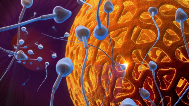 Causas, prevención y tratamiento de la infertilidad
